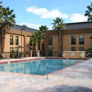 Palms ארצות הברית